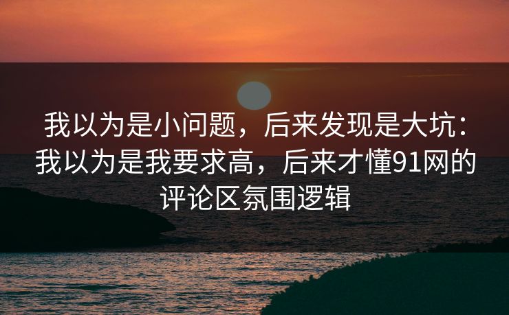 我以为是小问题，后来发现是大坑：我以为是我要求高，后来才懂91网的评论区氛围逻辑