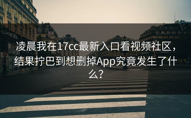 凌晨我在17cc最新入口看视频社区，结果拧巴到想删掉App究竟发生了什么？